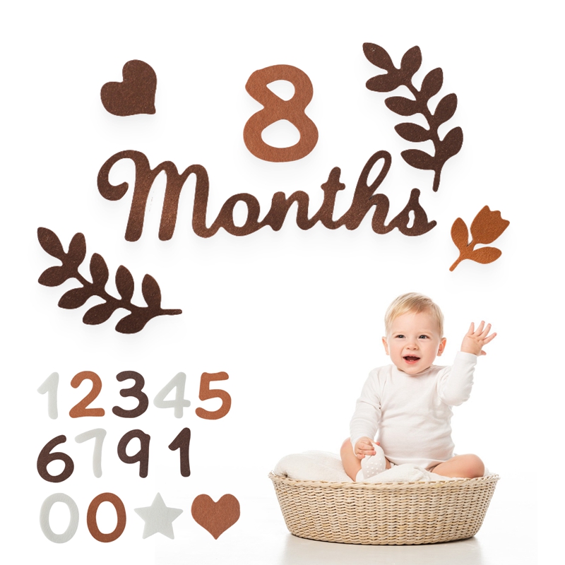 Milestone Card Set - Felt Digit Baby Milestone Month Card