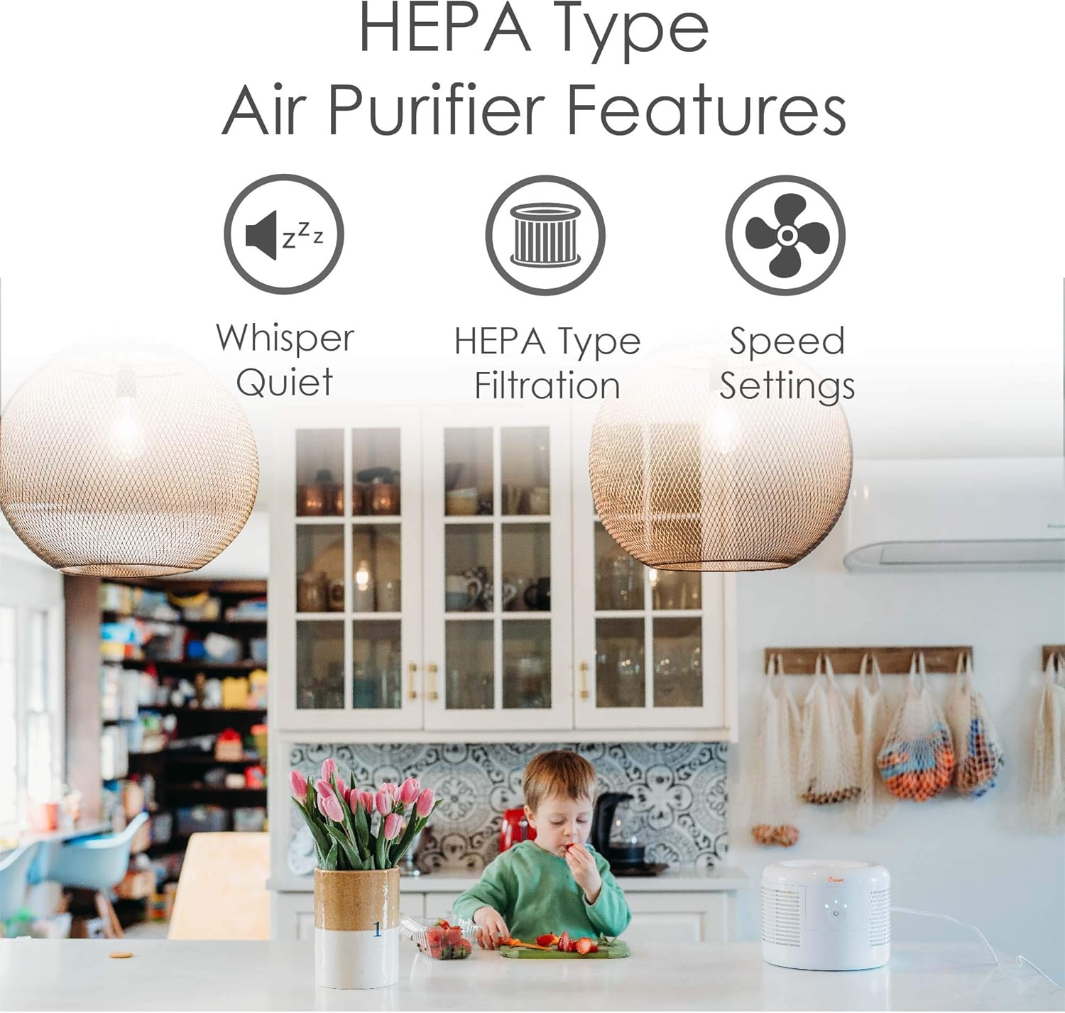 HEPA Air Purifier for Home, Qu - Baby Nursery Air Purifier review and price