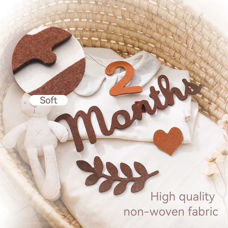 Felt Digit Baby Milestone Mont - Milestone Card Set review and price