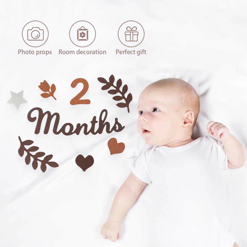 Felt Digit Baby Milestone Mont - Milestone Card Set review and price