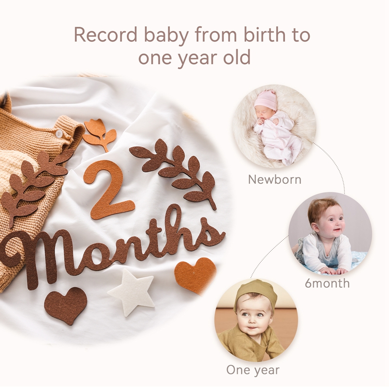 Felt Digit Baby Milestone Mont - Milestone Card Set review and price